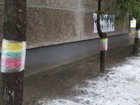 MĖLYNAS ŽIEDELIS