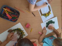 Mokslinis eksperimentinis - projektas „Visi žolynai jau suskinti“