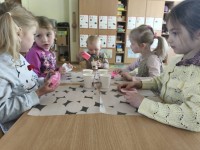 Muiliukų edukacija