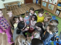 Muiliukų edukacija
