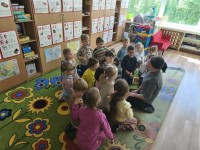 Muiliukų edukacija