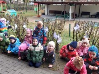 Ožio diena " Šermukšnėlėje"