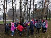 Ožio diena