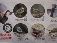 Paukščiai