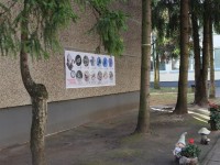 Paukščių giesmelės