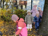 Rudenėlis kviečia tvarkytis