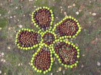 Rudens mandalos