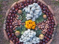 Rudens mandalos