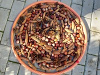 Rudens šventė
