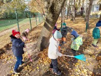 "Šermukšnėlėj" sujudimas