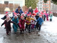 „Šermukšnėlės“ nykštukų bėgynės