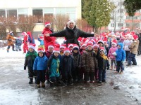 „Šermukšnėlės“ nykštukų bėgynės