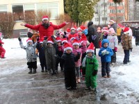 „Šermukšnėlės“ nykštukų bėgynės
