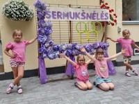 ,,Šermukšnėlės" olimpiada