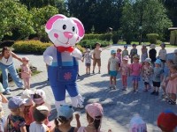 ,,Šermukšnėlės" olimpiada