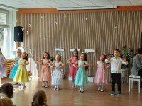 Šermukšnės šakelė-2026