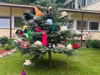 Skrybėlių paradas