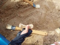 STEAM veikla: „Mažieji archeologai – dinozaurų paslaptys“