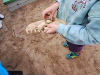 STEAM veikla: „Mažieji archeologai – dinozaurų paslaptys“