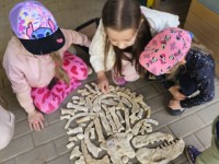 STEAM veikla: „Mažieji archeologai – dinozaurų paslaptys“