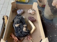 STEAM veikla: „Mažieji archeologai – dinozaurų paslaptys“