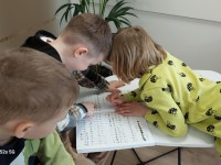 Paroda „Čiulba paukšteliai“ Verkių seniūnijoje