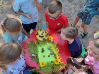 Tyrinėjimas pilvakojų moliūskų:sraigių, sliekų, šliužų...