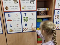 Vasarėlė užaugino žirnių didelę šeimyną