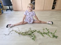 Vasarėlė užaugino žirnių didelę šeimyną