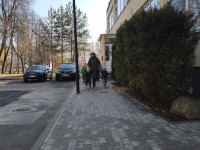 Velykų kiškių bėgimas