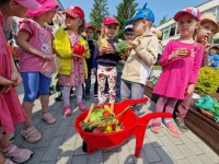 „Vitaminai į svečius“
